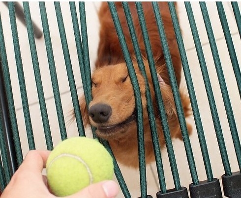 ŬϽø     ֽϴ.